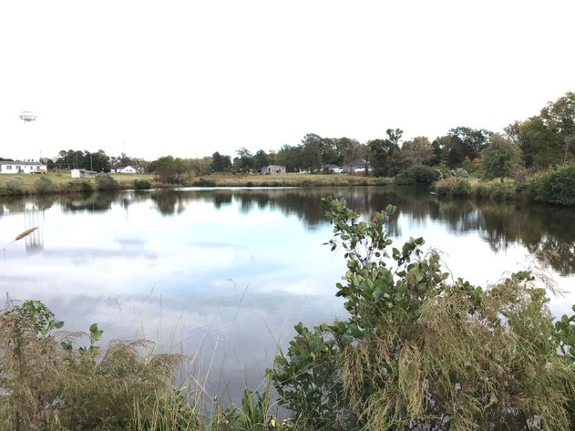 Image for 11.61 Acres in Johnston County with a Pond Selling in a Live / Online / Onsite / Simulcast Auction!