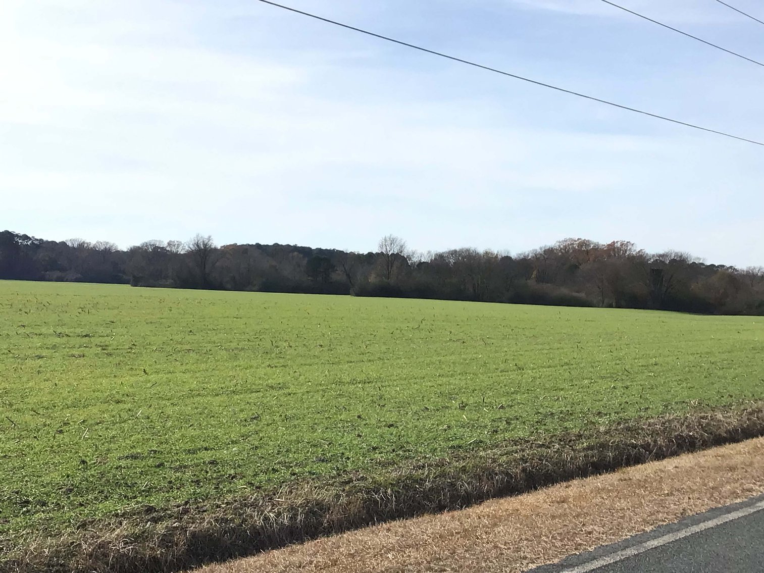 Image for Two Gorgeous Farms in Cumberland County with a Total of 193.27 Acres