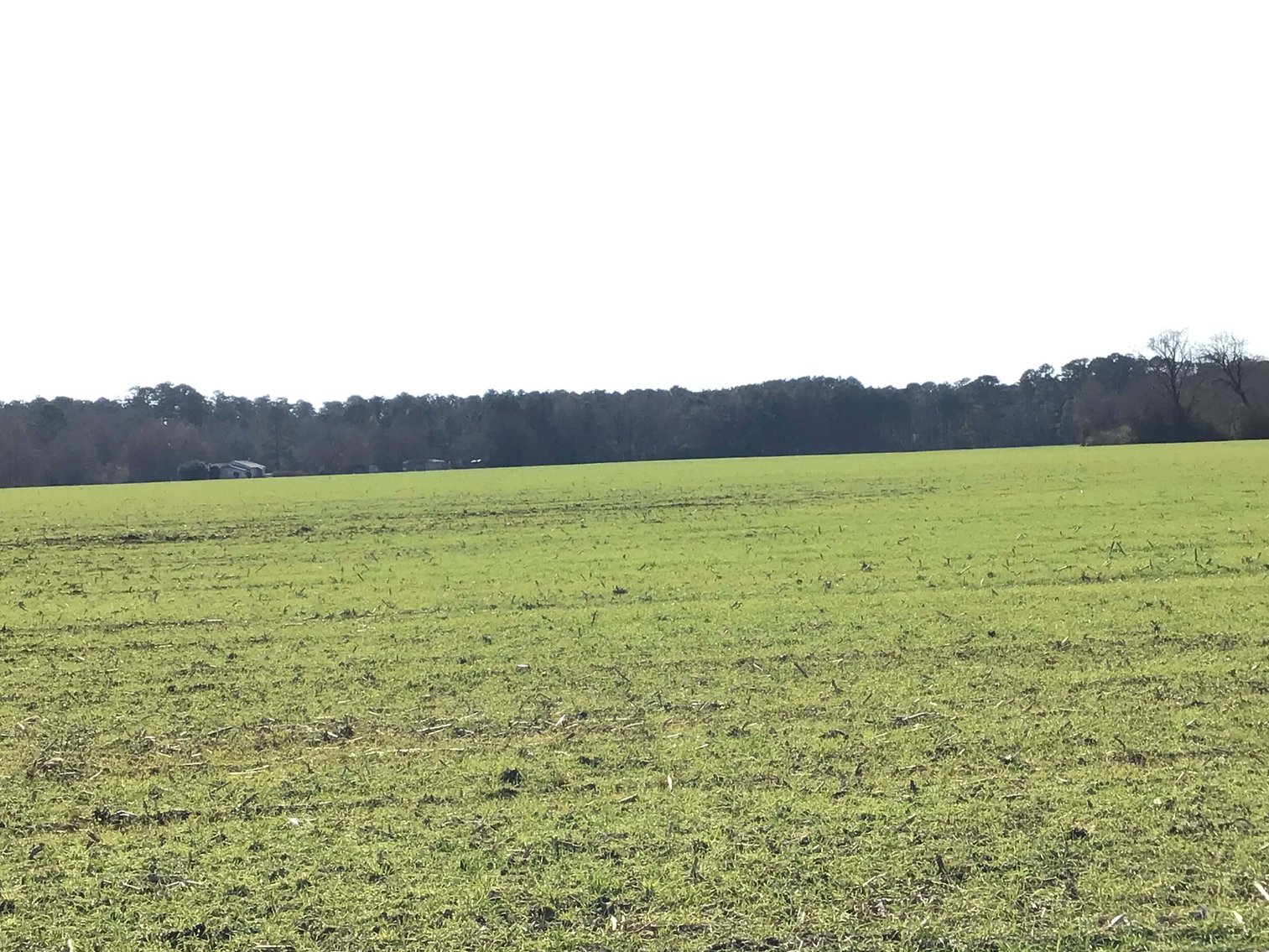 Image for Two Gorgeous Farms in Cumberland County with a Total of 193.27 Acres