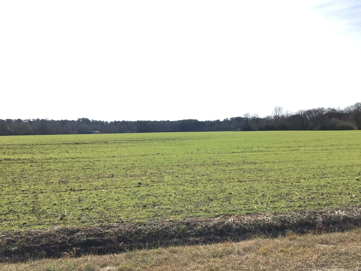 Image for Two Gorgeous Farms in Cumberland County with a Total of 193.27 Acres