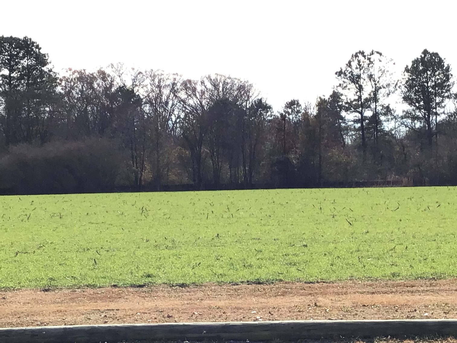 Image for Two Gorgeous Farms in Cumberland County with a Total of 193.27 Acres