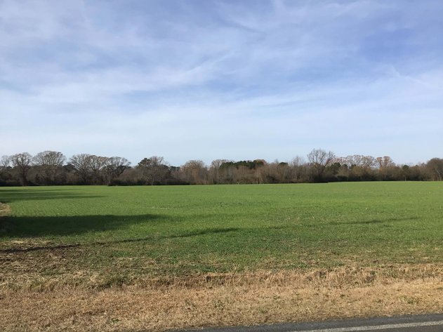 Image for Two Gorgeous Farms in Cumberland County with a Total of 193.27 Acres