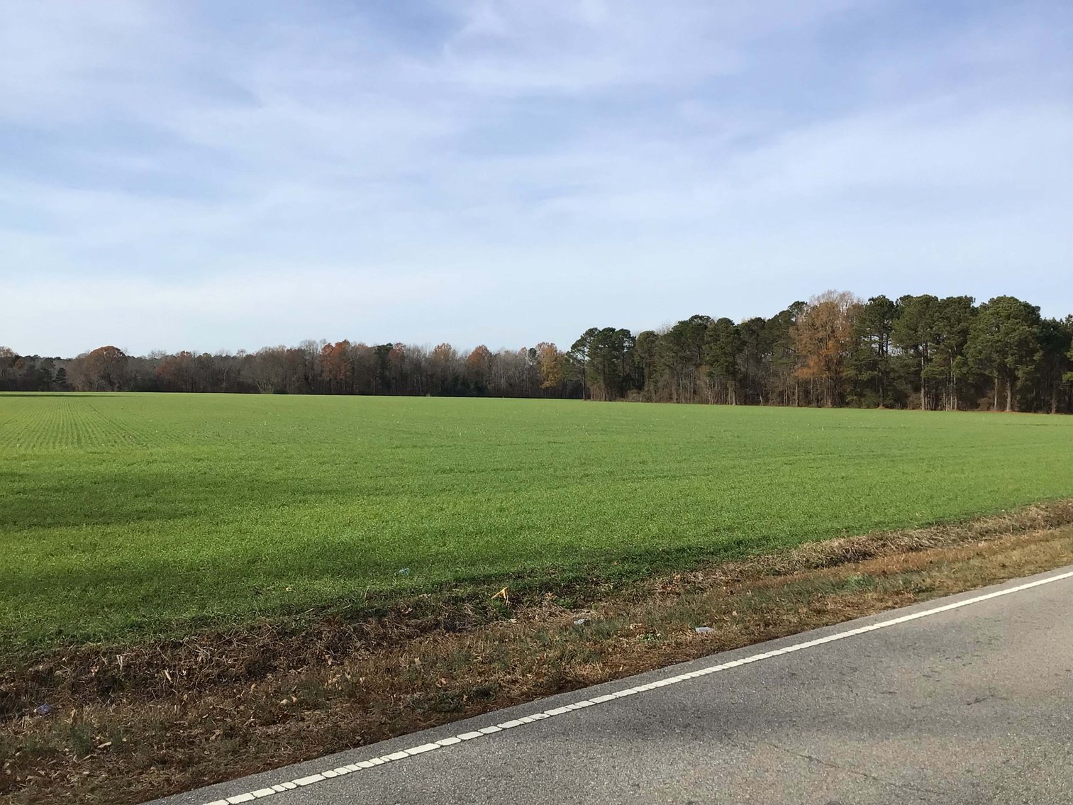 Image for Two Gorgeous Farms in Cumberland County with a Total of 193.27 Acres