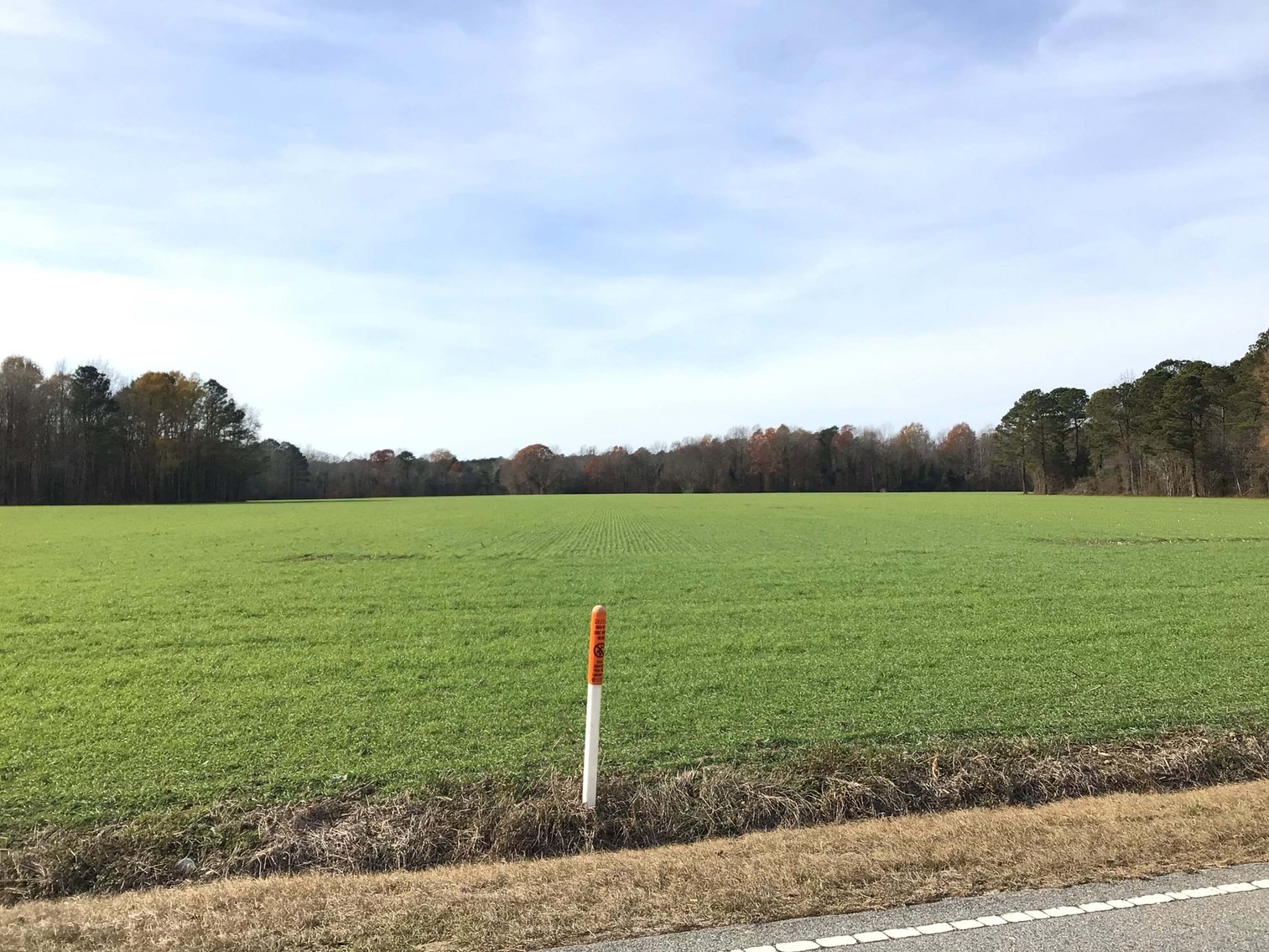 Image for Two Gorgeous Farms in Cumberland County with a Total of 193.27 Acres