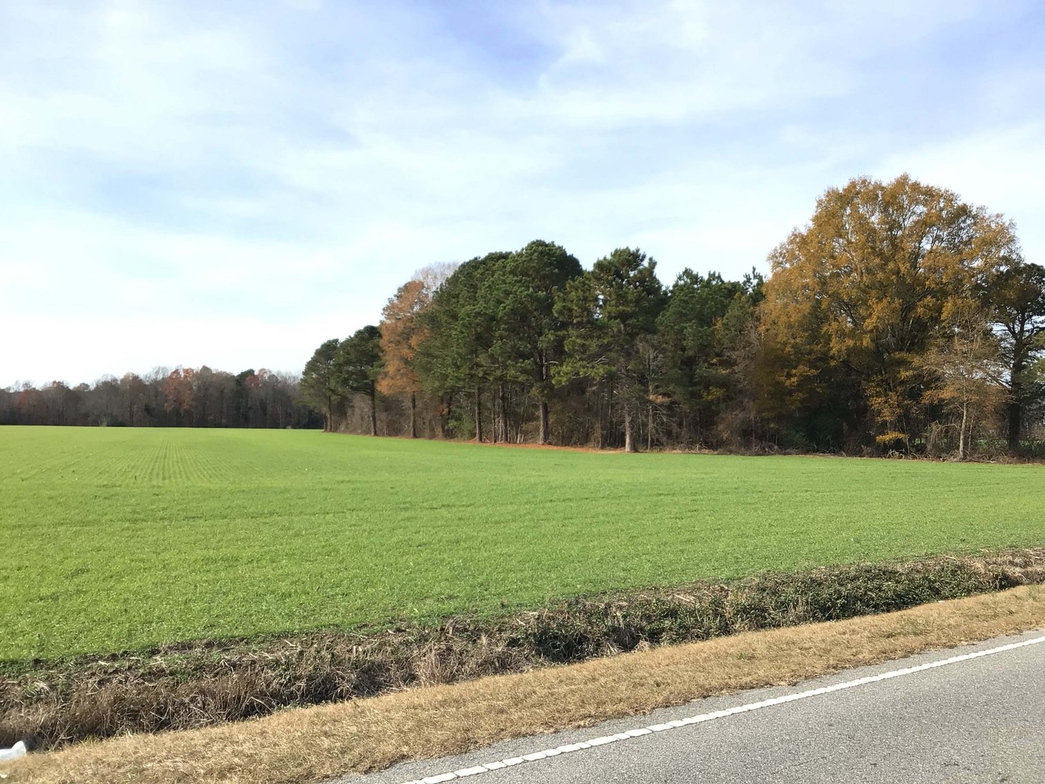 Image for Two Gorgeous Farms in Cumberland County with a Total of 193.27 Acres