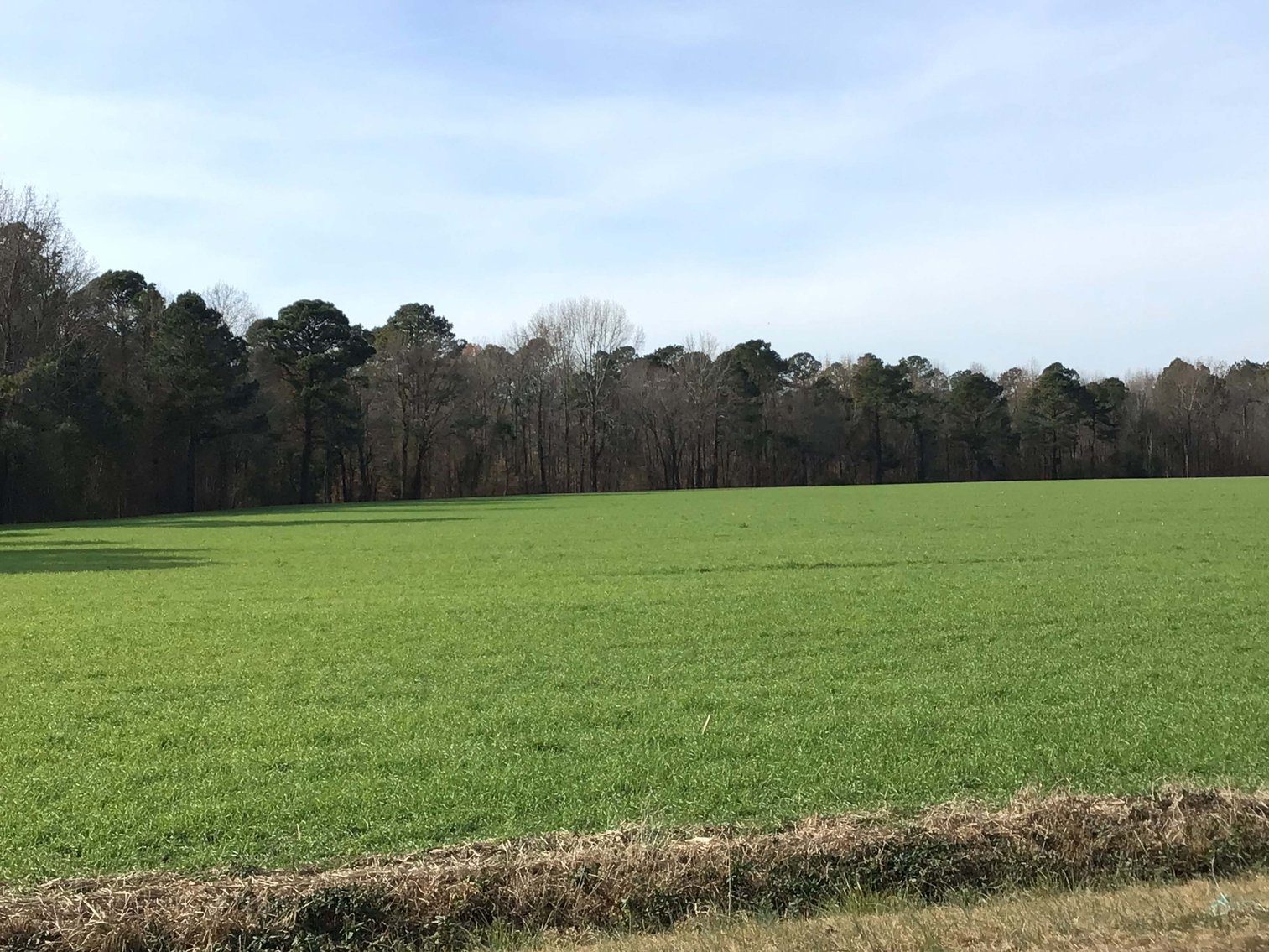 Image for Two Gorgeous Farms in Cumberland County with a Total of 193.27 Acres