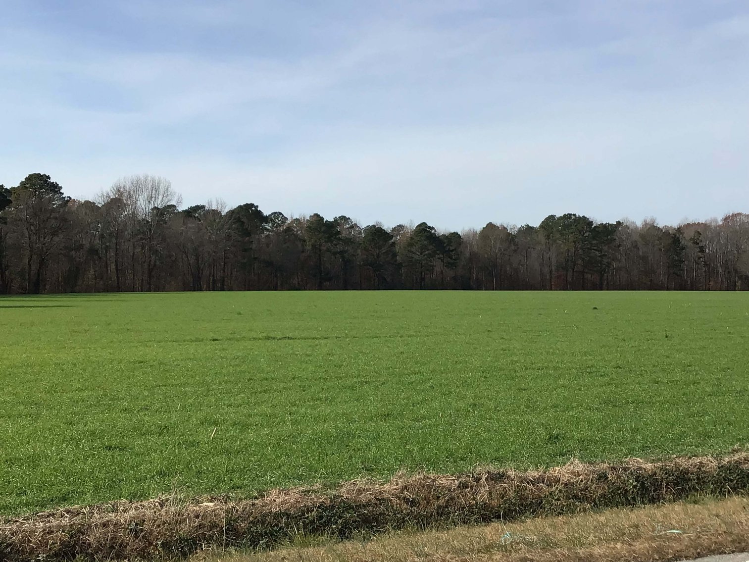 Image for Two Gorgeous Farms in Cumberland County with a Total of 193.27 Acres