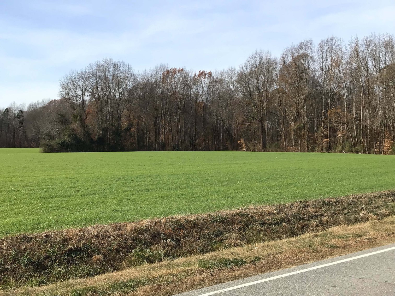 Image for Two Gorgeous Farms in Cumberland County with a Total of 193.27 Acres