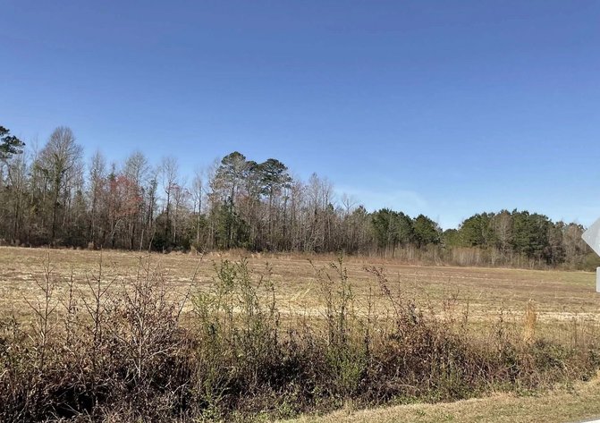 Image for 37+/- Acres Recreational with a Home Site in Sampson County! Online / Live / Simulcast Auction held at the JP Headquarters in Angier!