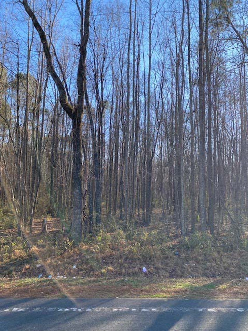Image for 3 Homes, 48+/- acres divided into 9 tracts with Harnett County Water and Sewer! Live / Online / Simulcast Auction held at JP Headquarters!