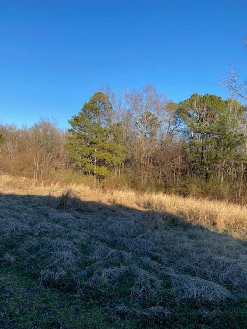 Image for 3 Homes, 48+/- acres divided into 9 tracts with Harnett County Water and Sewer! Live / Online / Simulcast Auction held at JP Headquarters!