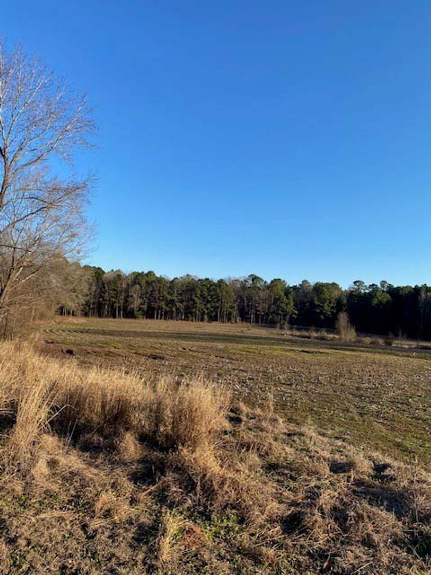 Image for 3 Homes, 48+/- acres divided into 9 tracts with Harnett County Water and Sewer! Live / Online / Simulcast Auction held at JP Headquarters!