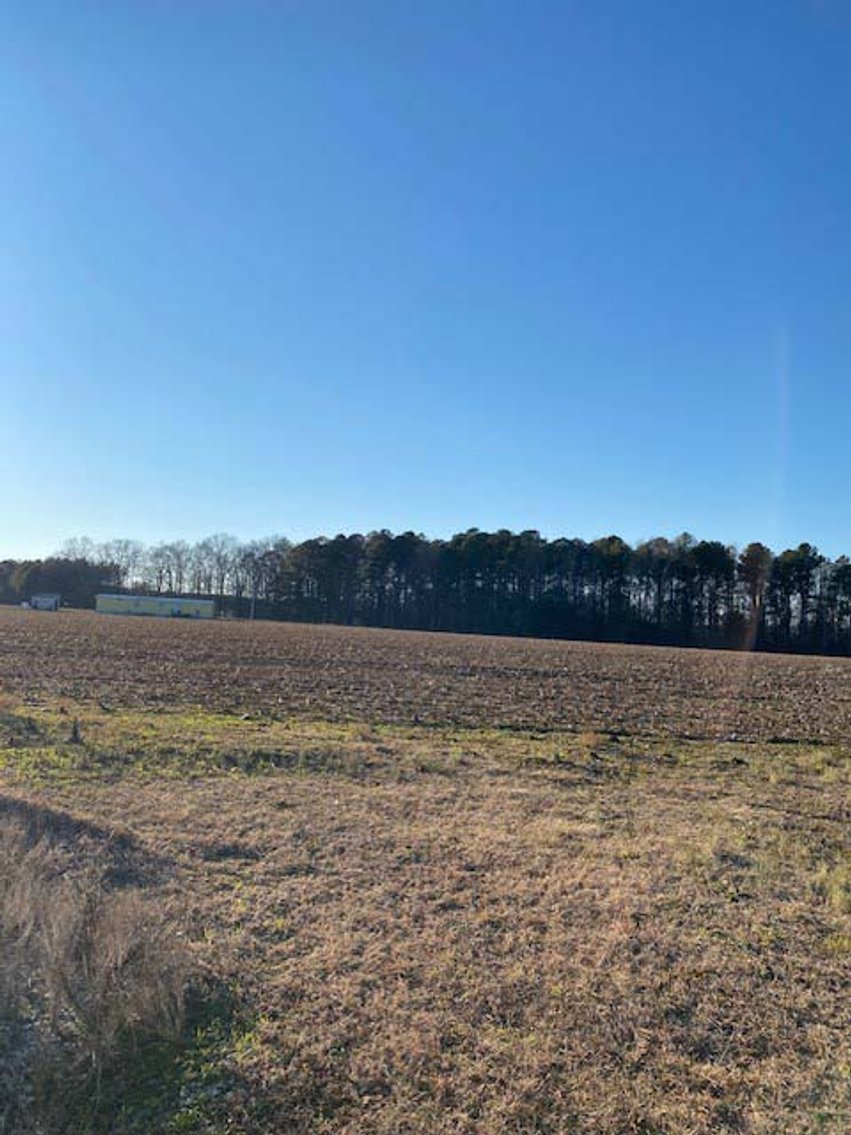 Image for 3 Homes, 48+/- acres divided into 9 tracts with Harnett County Water and Sewer! Live / Online / Simulcast Auction held at JP Headquarters!