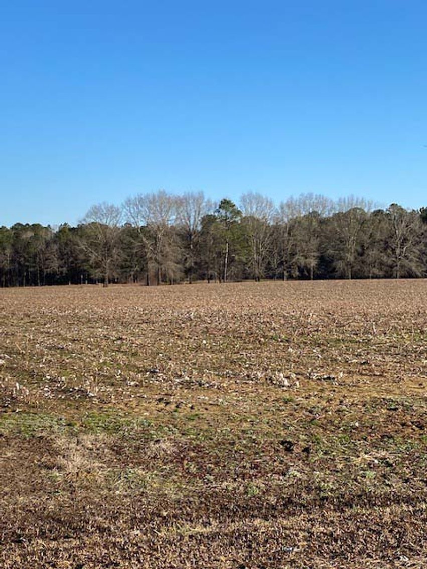 Image for 3 Homes, 48+/- acres divided into 9 tracts with Harnett County Water and Sewer! Live / Online / Simulcast Auction held at JP Headquarters!