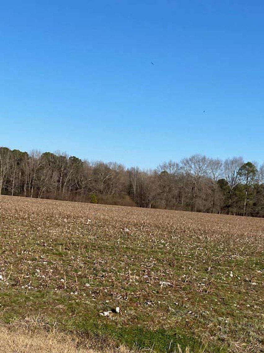 Image for 3 Homes, 48+/- acres divided into 9 tracts with Harnett County Water and Sewer! Live / Online / Simulcast Auction held at JP Headquarters!