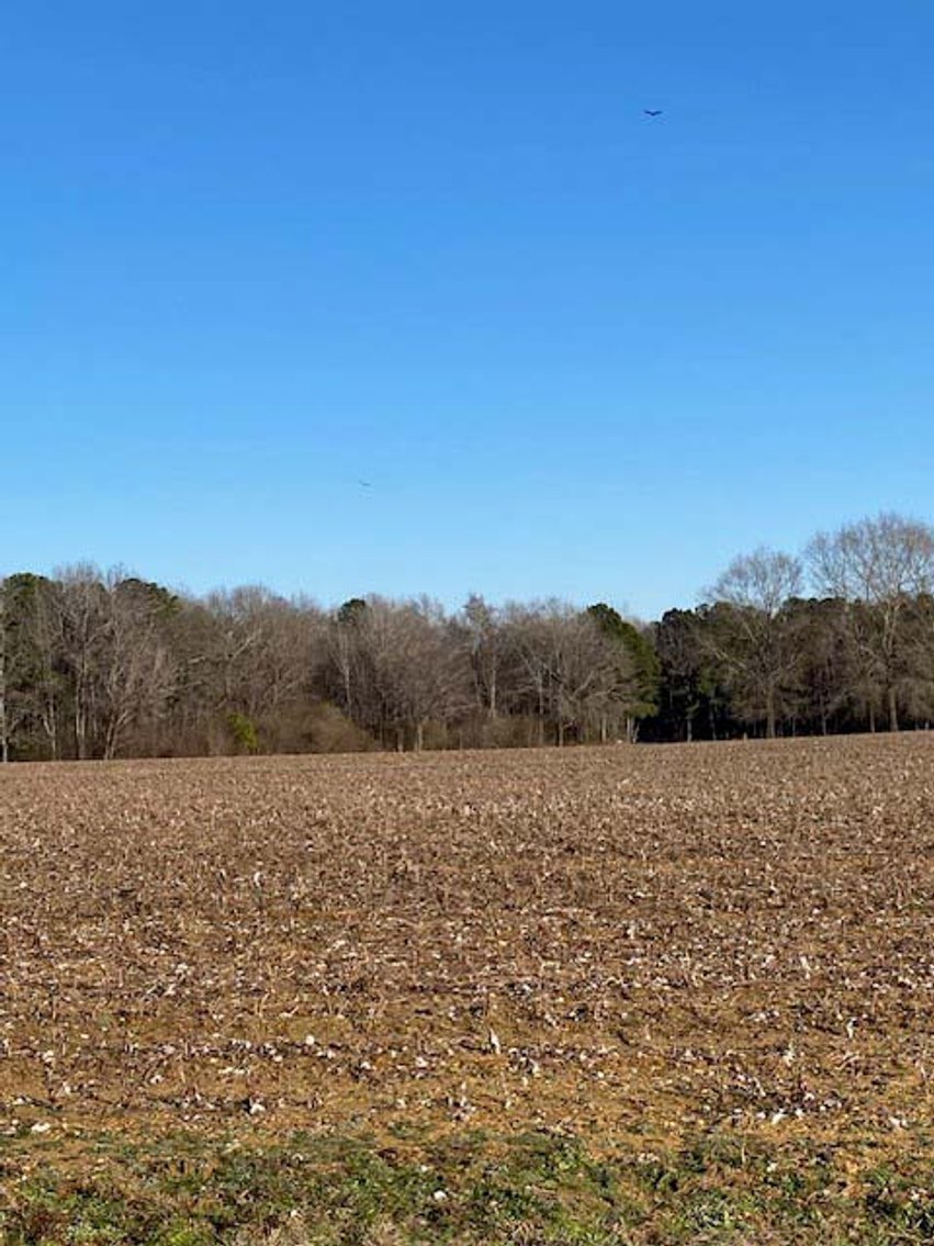 Image for 3 Homes, 48+/- acres divided into 9 tracts with Harnett County Water and Sewer! Live / Online / Simulcast Auction held at JP Headquarters!