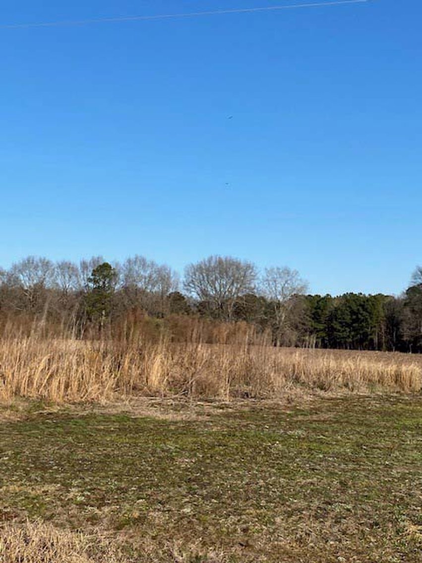 Image for 3 Homes, 48+/- acres divided into 9 tracts with Harnett County Water and Sewer! Live / Online / Simulcast Auction held at JP Headquarters!