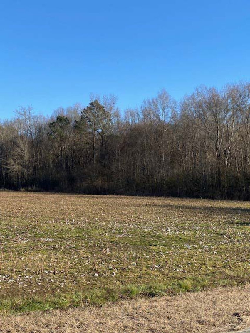Image for 3 Homes, 48+/- acres divided into 9 tracts with Harnett County Water and Sewer! Live / Online / Simulcast Auction held at JP Headquarters!