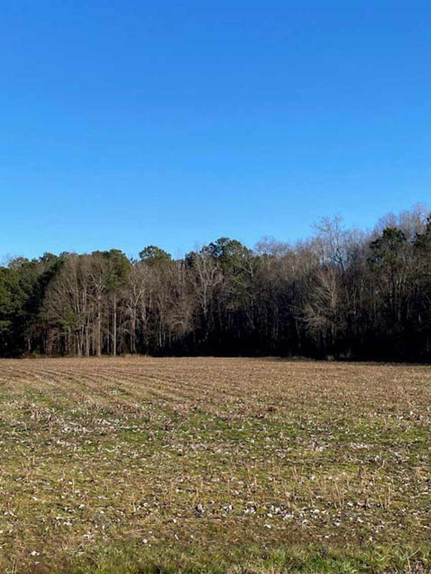 Image for 3 Homes, 48+/- acres divided into 9 tracts with Harnett County Water and Sewer! Live / Online / Simulcast Auction held at JP Headquarters!