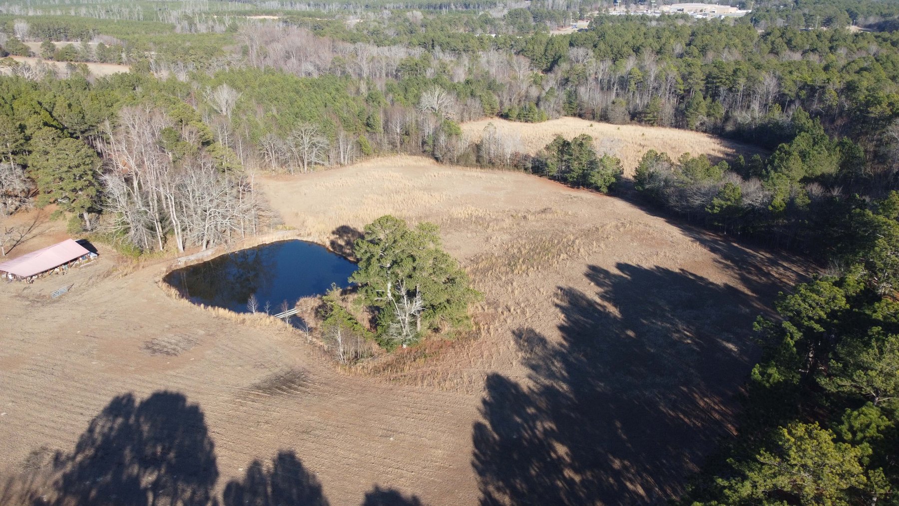 Image for 46+ Acres Divided into 9 tracts, a Super Home with over 2 acres in Harnett County, NC!  Online / Live / Simulcast Auction Held at the JP Headquarters in Angier!