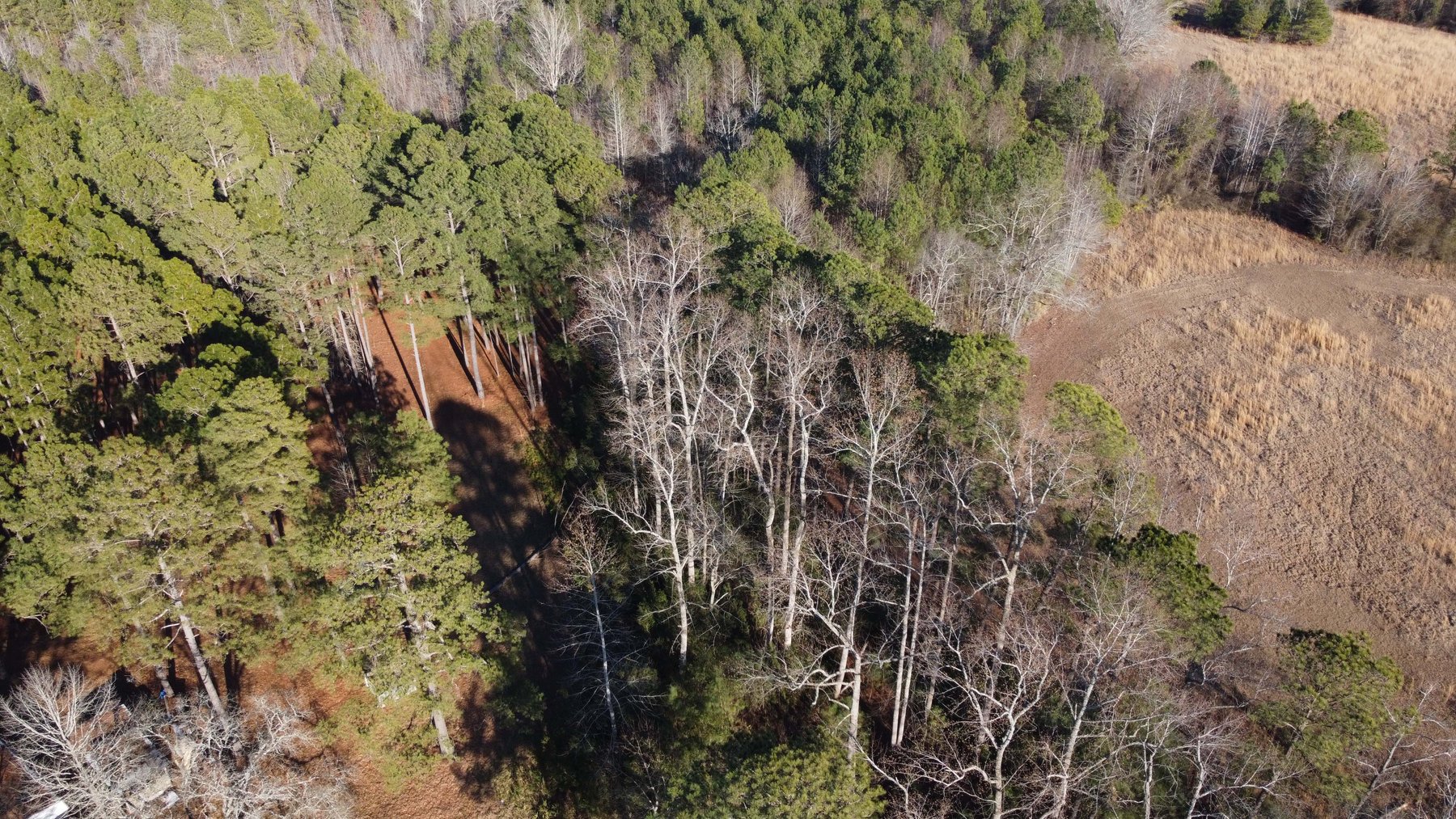 Image for 46+ Acres Divided into 9 tracts, a Super Home with over 2 acres in Harnett County, NC!  Online / Live / Simulcast Auction Held at the JP Headquarters in Angier!