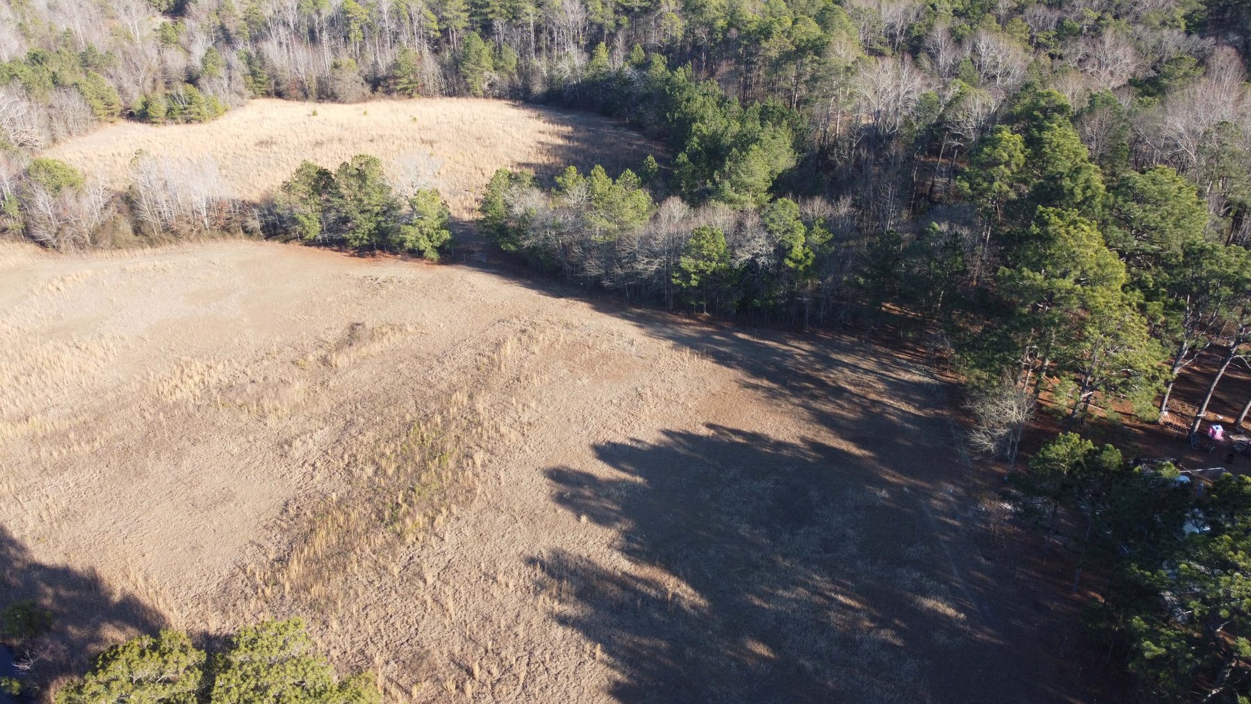Image for 46+ Acres Divided into 9 tracts, a Super Home with over 2 acres in Harnett County, NC!  Online / Live / Simulcast Auction Held at the JP Headquarters in Angier!