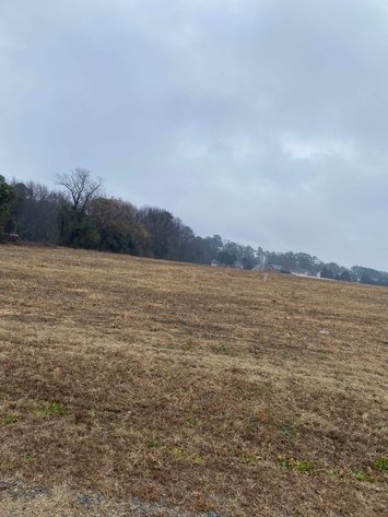 Image for Beautiful 10 Acre Tract in Dunn