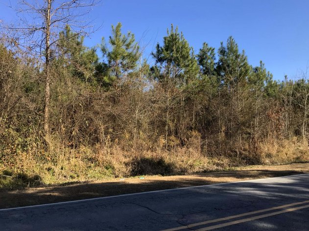 Image for 55+/- acres off Bowdens Rd Duplin County!