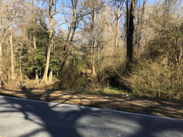 Image for 55+/- acres off Bowdens Rd Duplin County!