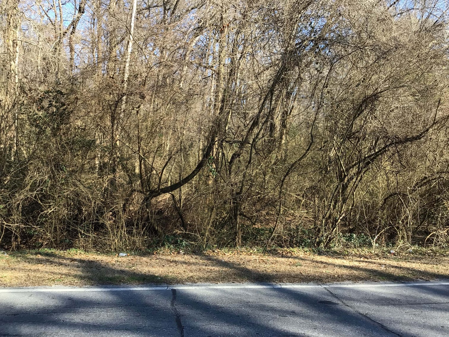Image for 55+/- acres off Bowdens Rd Duplin County!