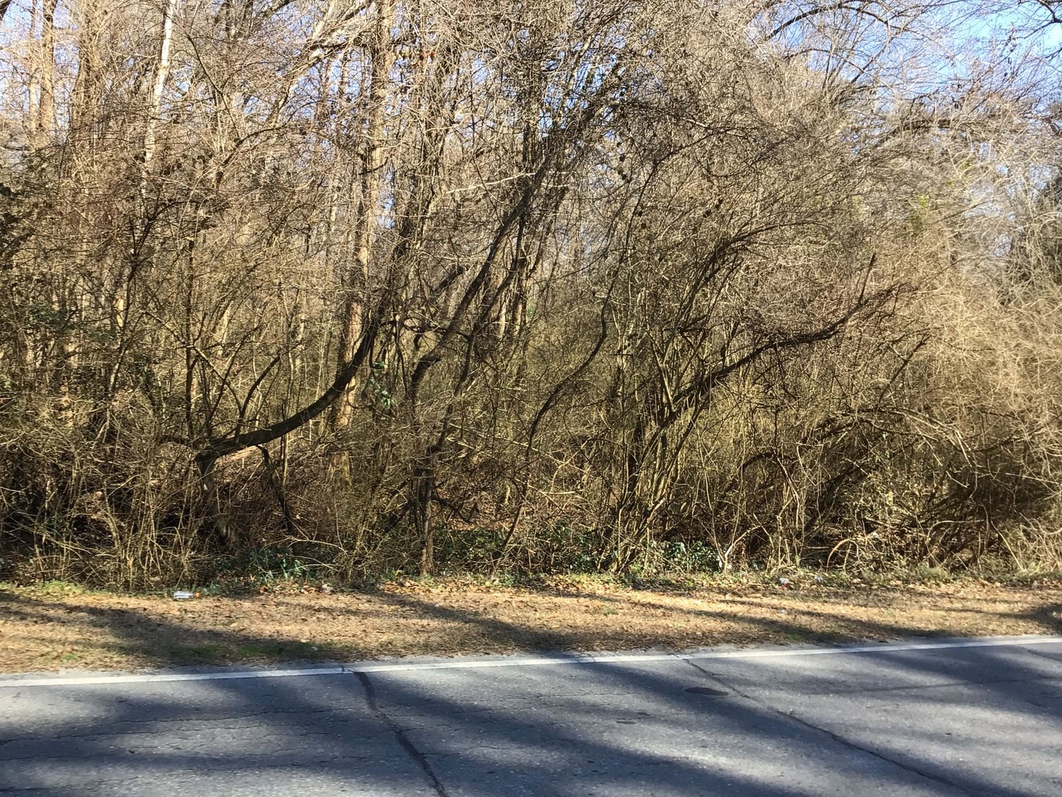 Image for 55+/- acres off Bowdens Rd Duplin County!