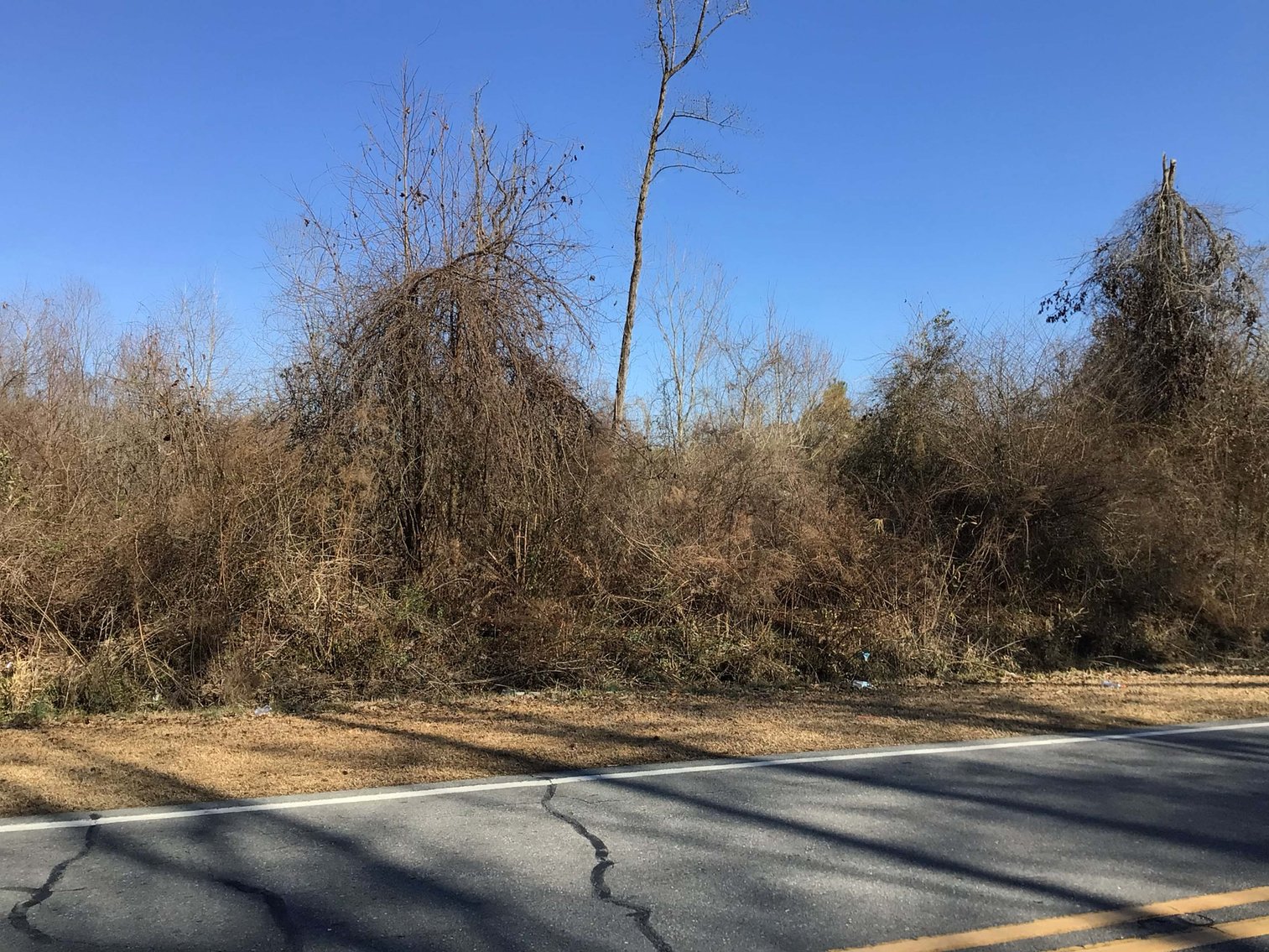 Image for 55+/- acres off Bowdens Rd Duplin County!