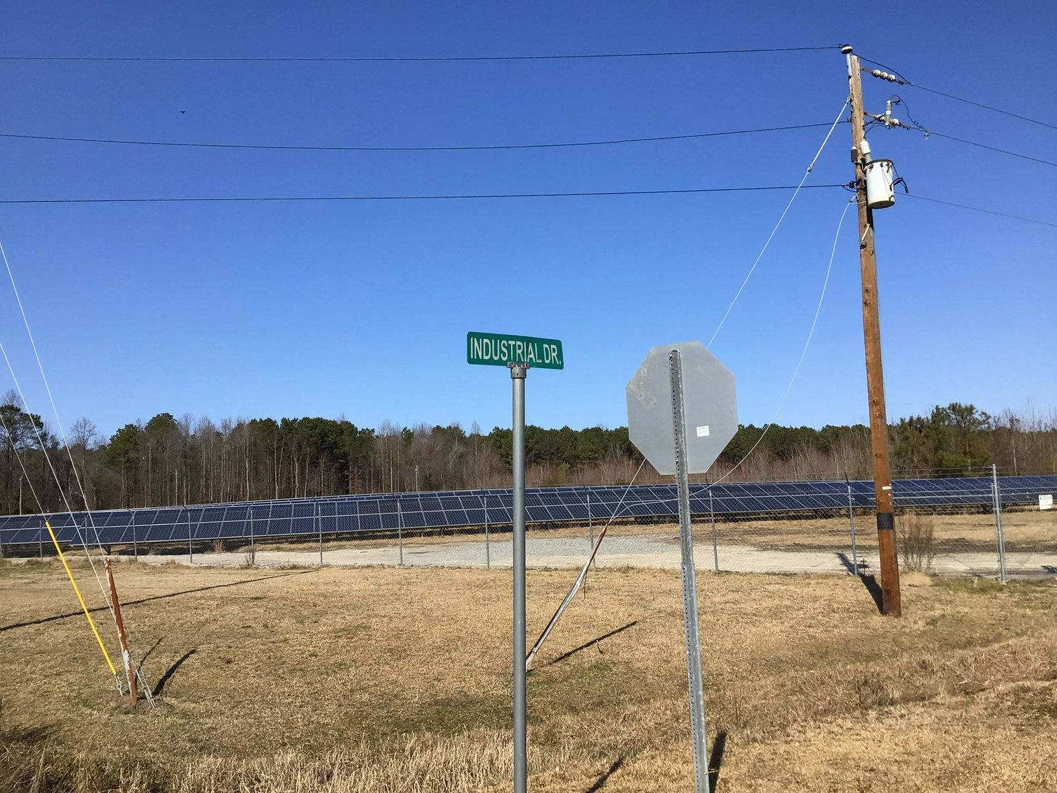 Image for 55+/- acres off Bowdens Rd Duplin County!