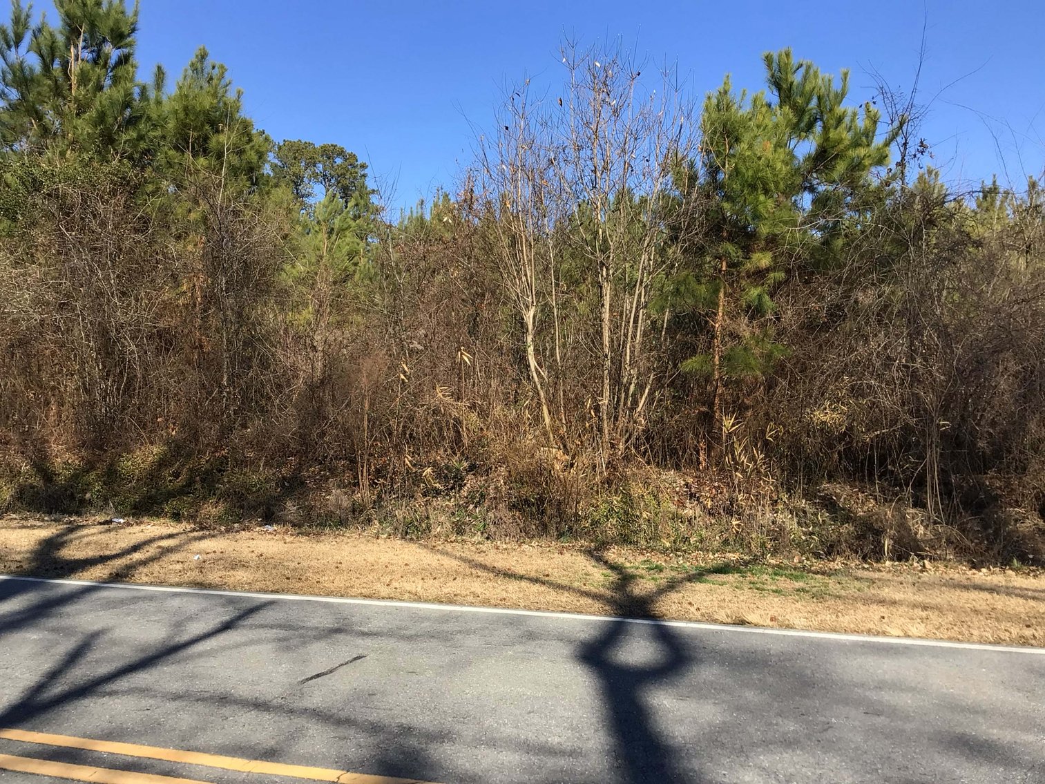 Image for 55+/- acres off Bowdens Rd Duplin County!