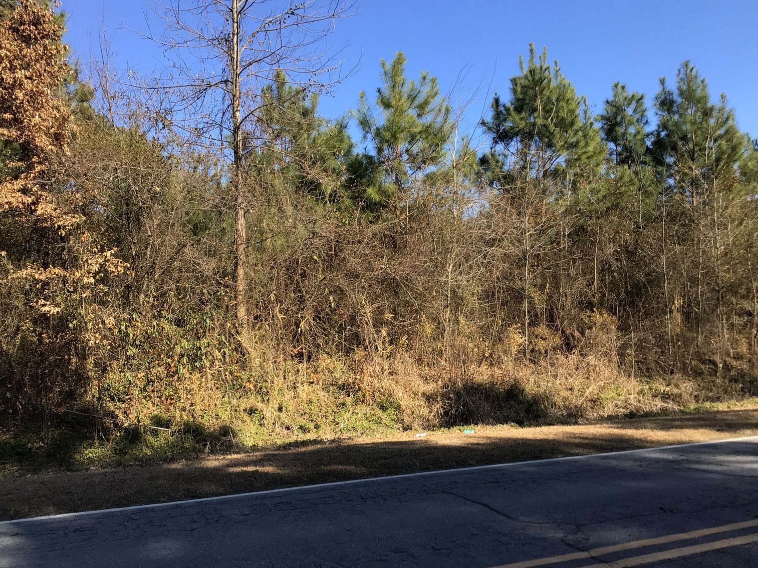 Image for 55+/- acres off Bowdens Rd Duplin County!