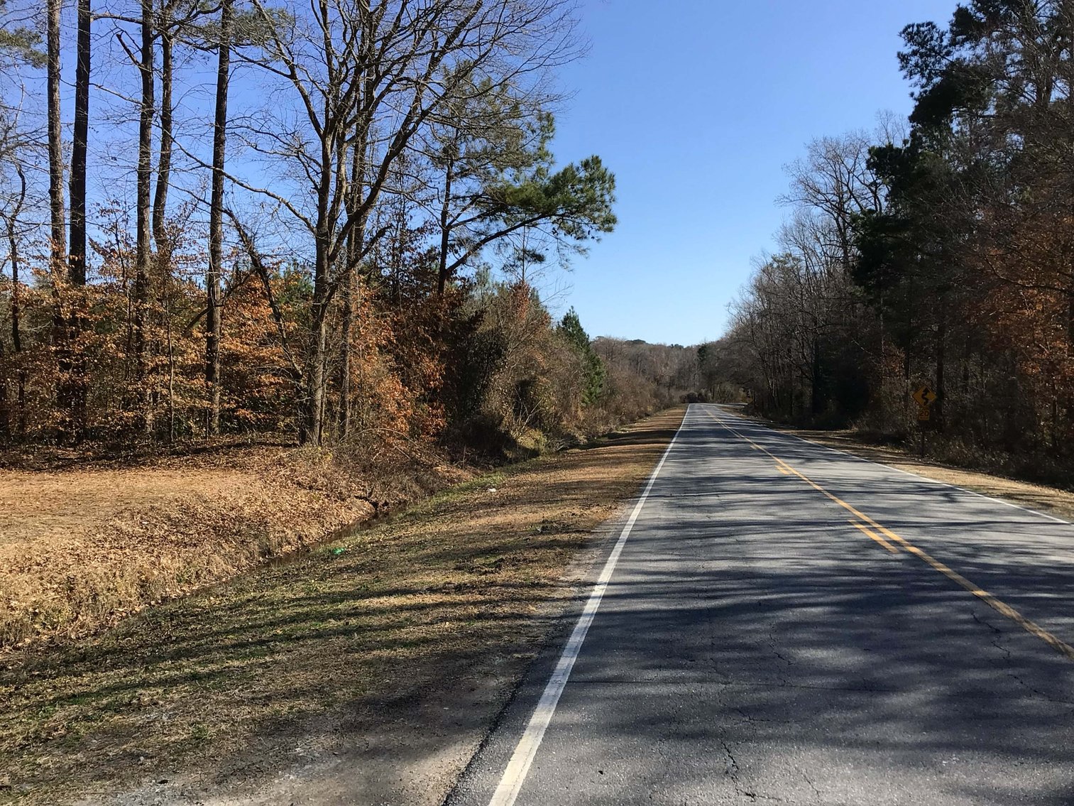 Image for 55+/- acres off Bowdens Rd Duplin County!