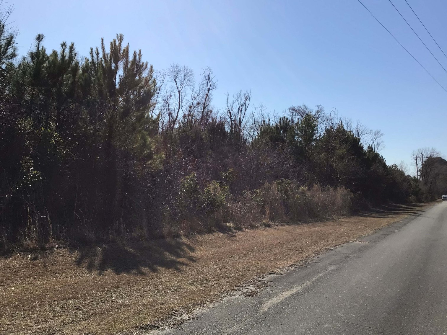Image for 55+/- acres off Bowdens Rd Duplin County!