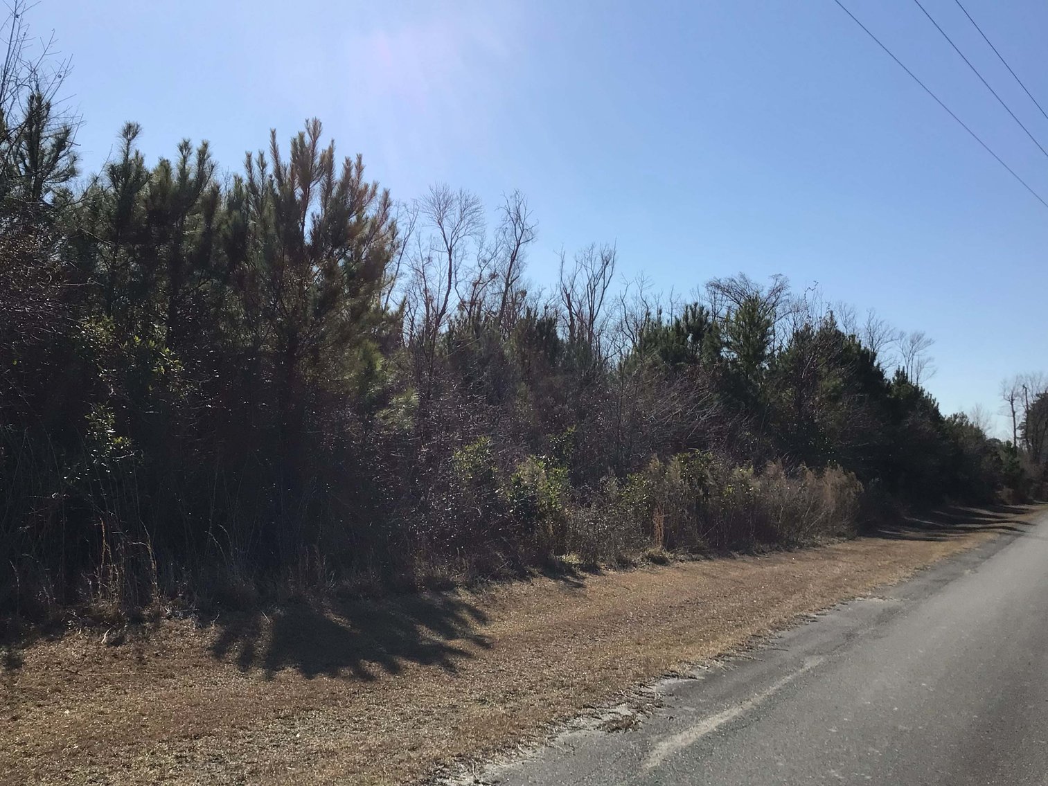 Image for 55+/- acres off Bowdens Rd Duplin County!