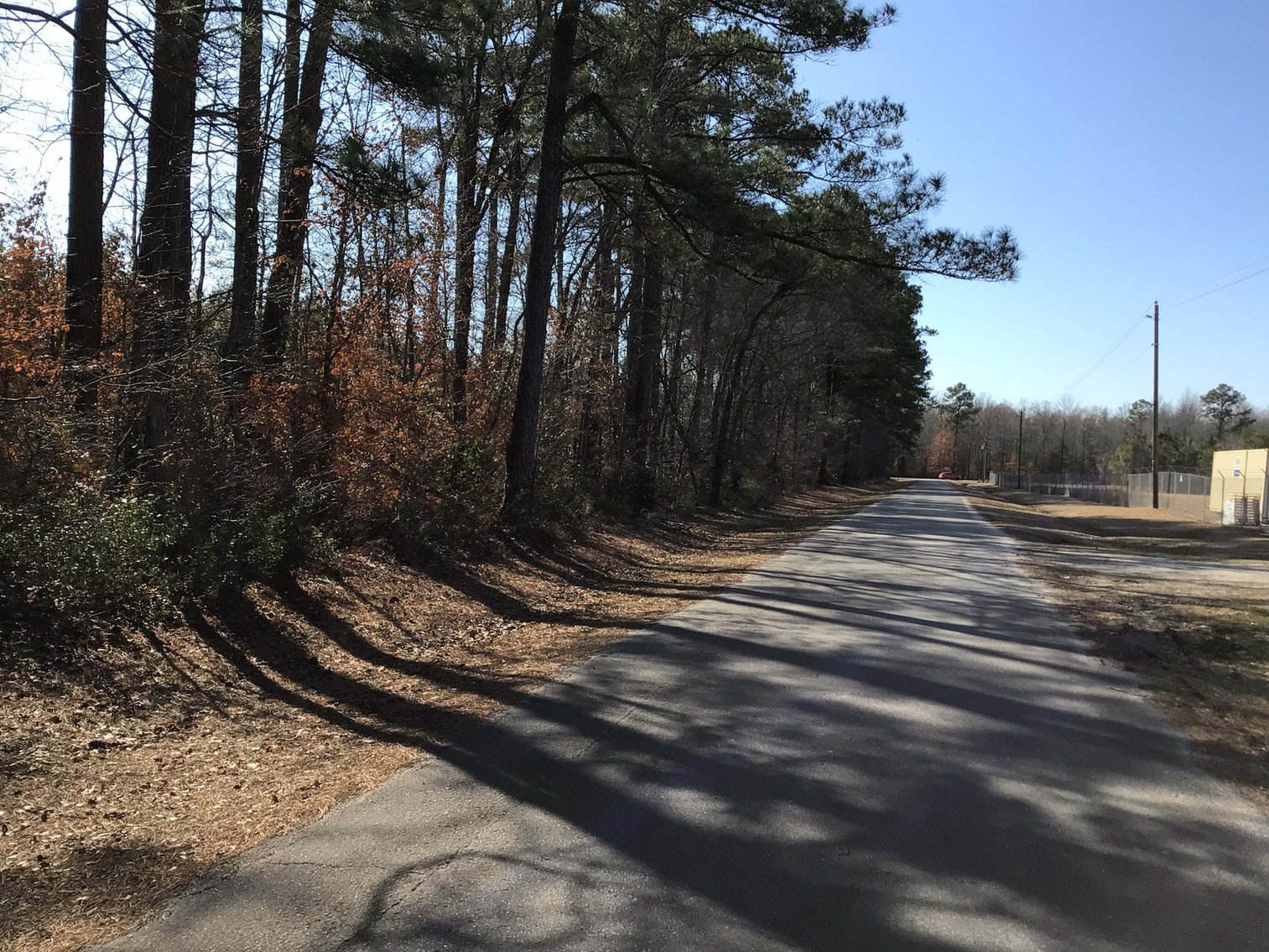 Image for 55+/- acres off Bowdens Rd Duplin County!