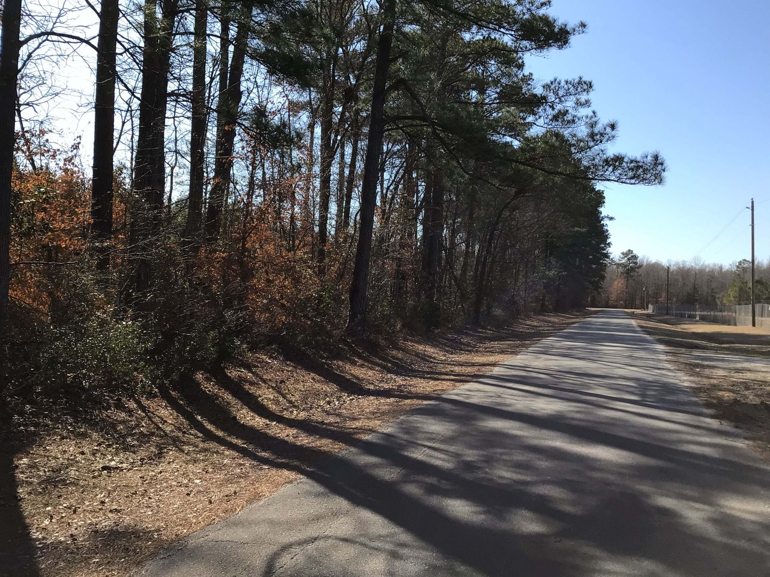 Image for 55+/- acres off Bowdens Rd Duplin County!