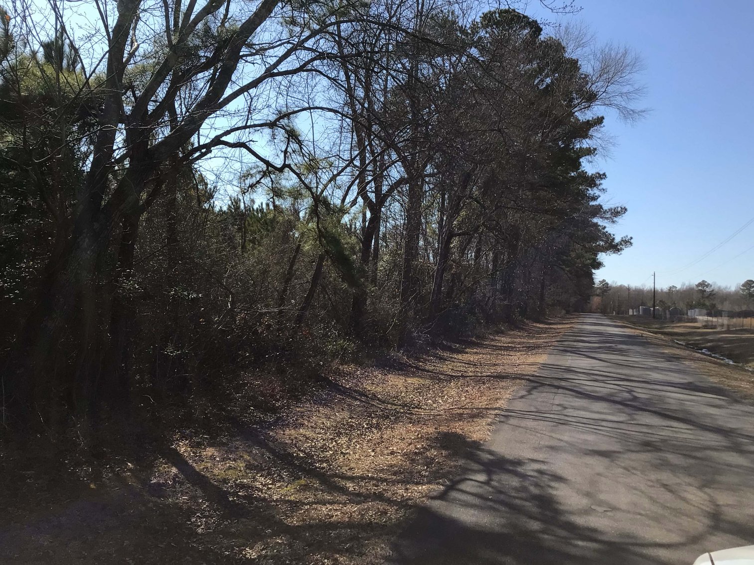 Image for 55+/- acres off Bowdens Rd Duplin County!