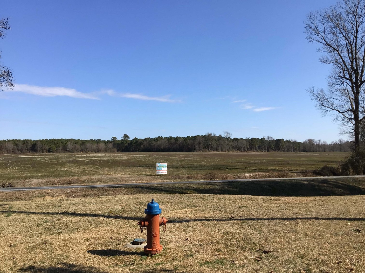 Image for 128 +/- Acres in Duplin County!