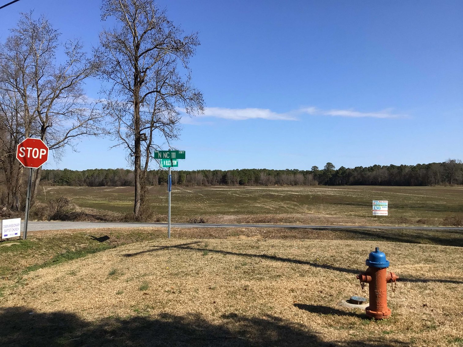 Image for 128 +/- Acres in Duplin County!