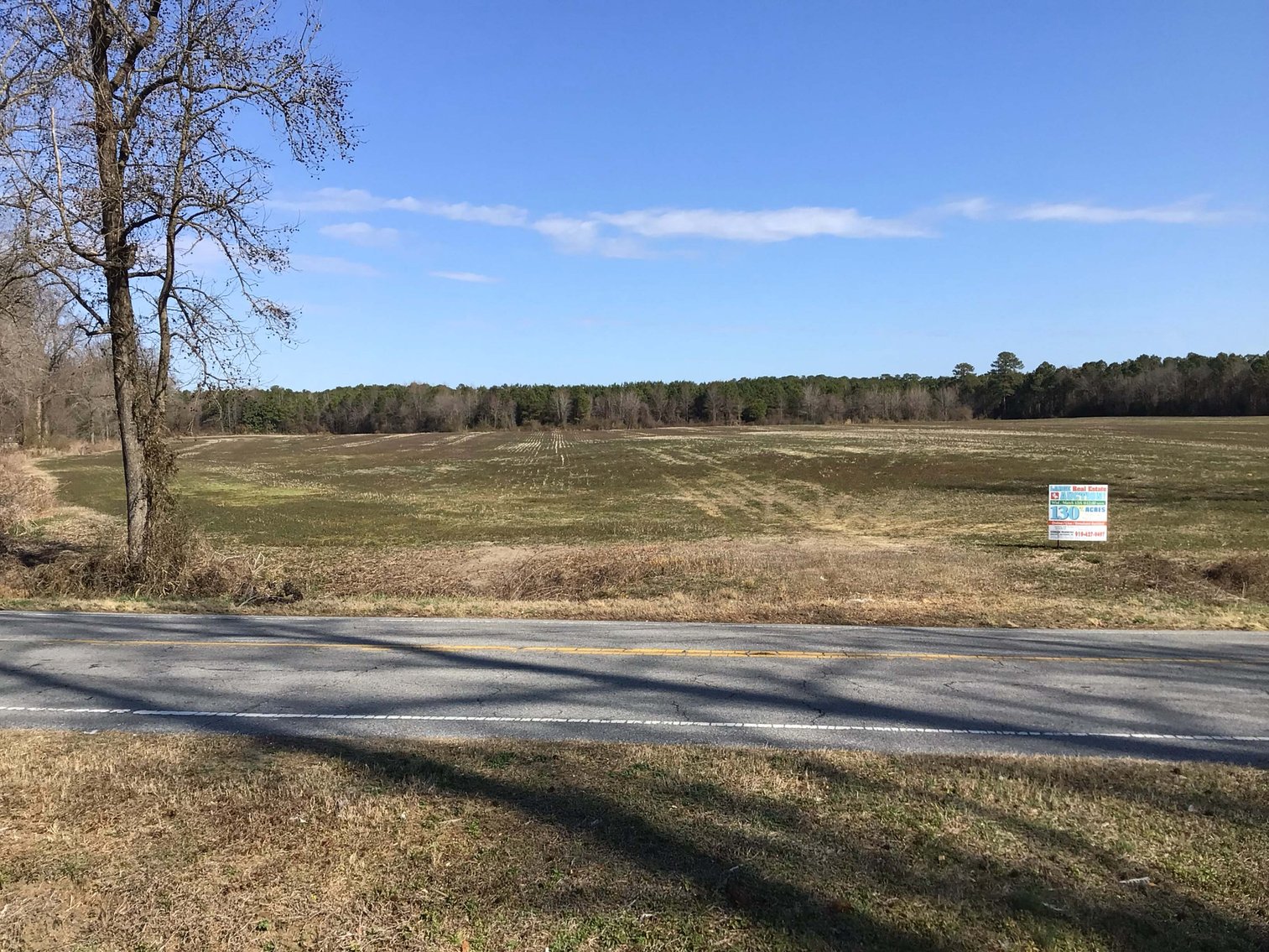 Image for 128 +/- Acres in Duplin County!