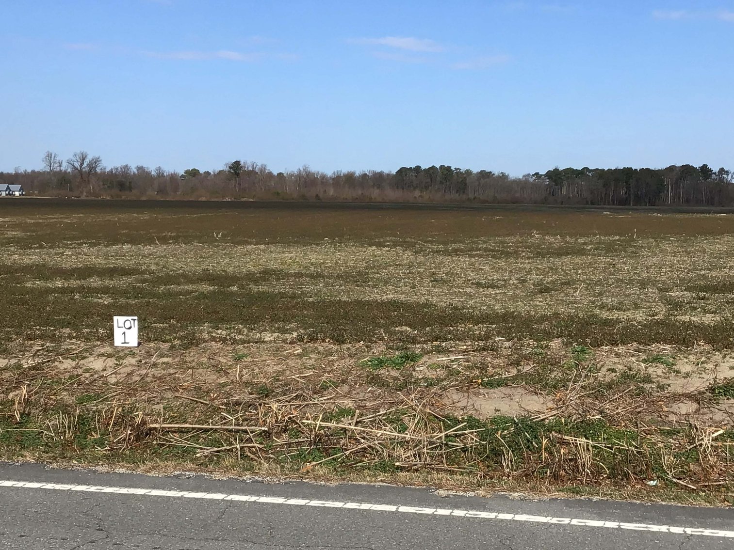 Image for 128 +/- Acres in Duplin County!