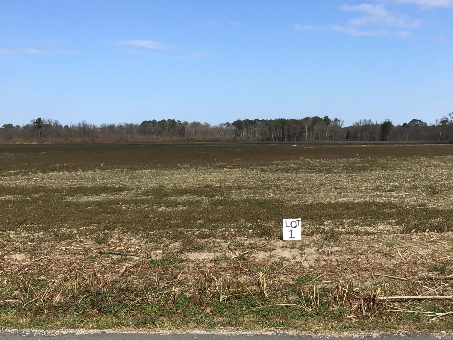 Image for 128 +/- Acres in Duplin County!
