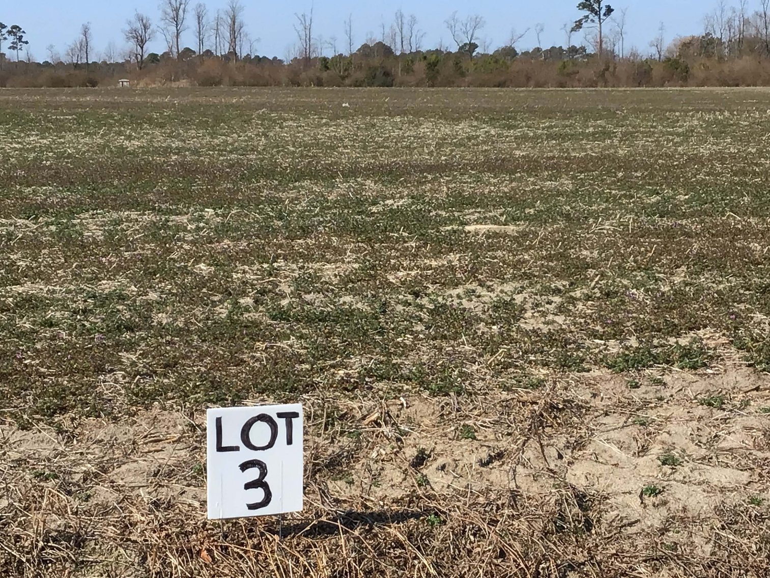 Image for 128 +/- Acres in Duplin County!