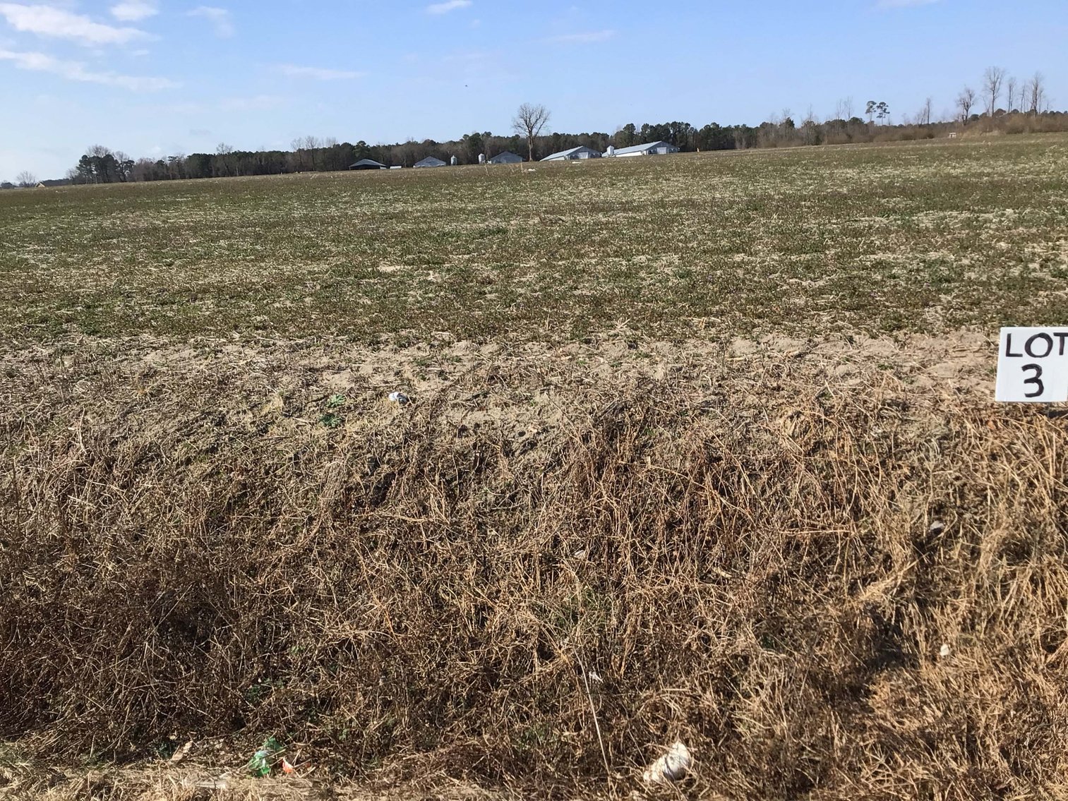 Image for 128 +/- Acres in Duplin County!