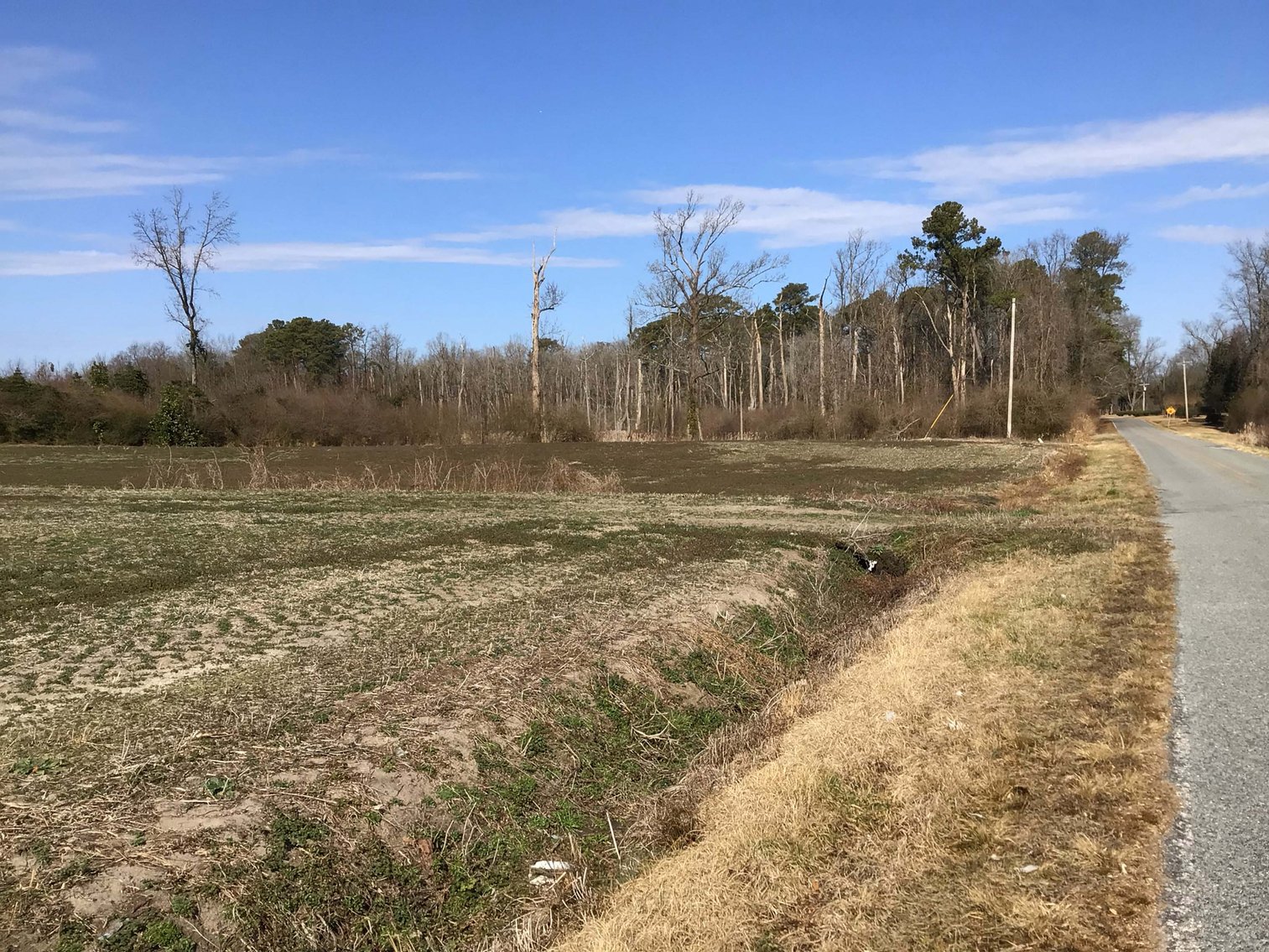 Image for 128 +/- Acres in Duplin County!