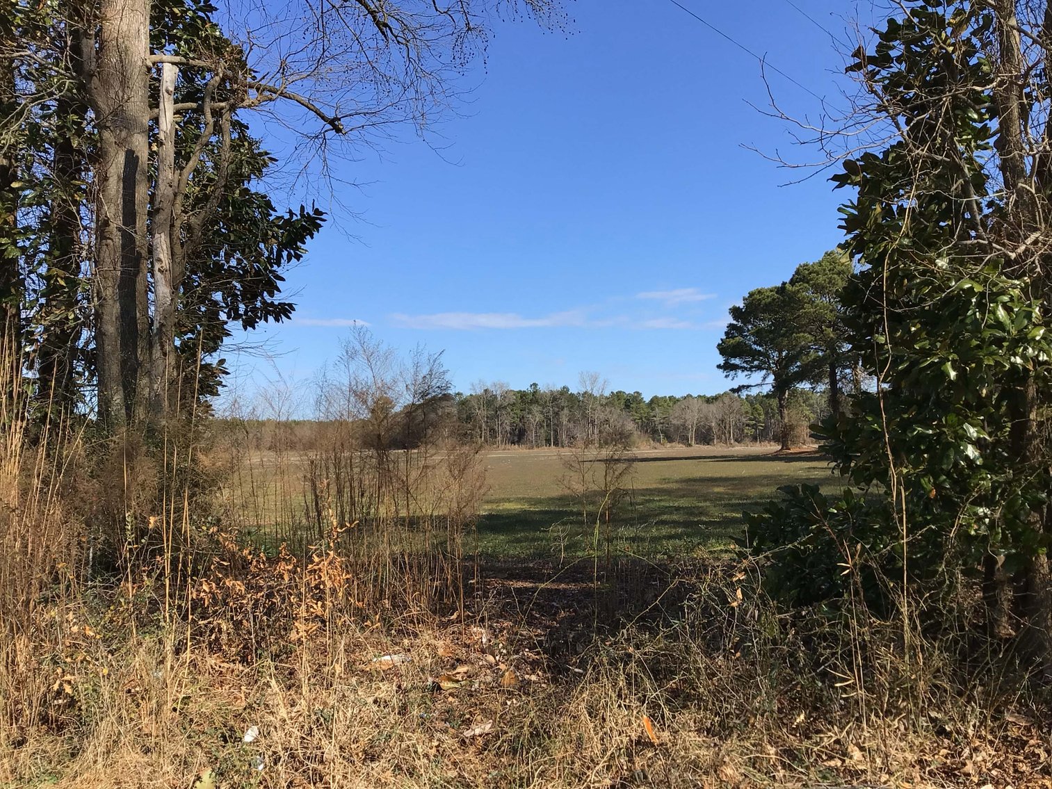 Image for 128 +/- Acres in Duplin County!